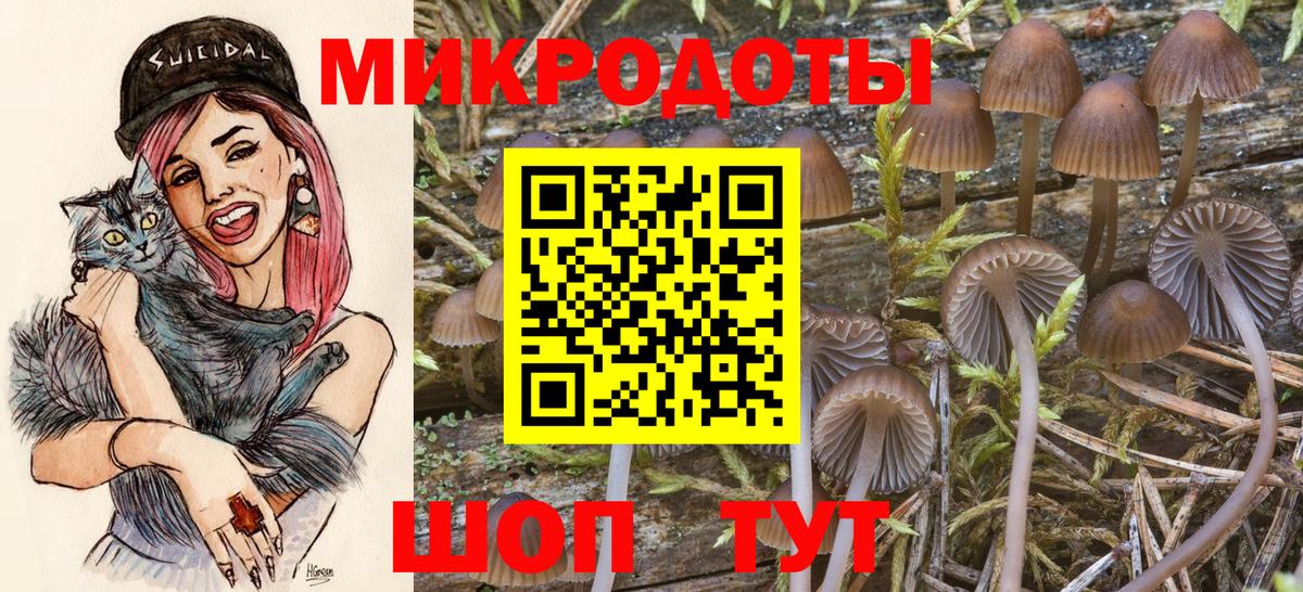Галлюциногенные грибы ЛСД Всеволожск